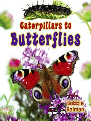 cover image of Caterpillars to Butterflies